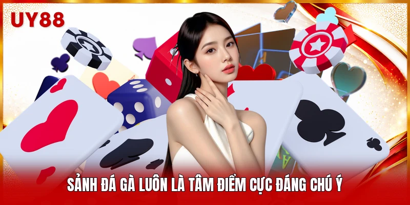 Sảnh đá gà luôn là tâm điểm cực đáng chú ý